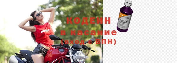сатива Богданович