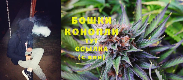 ALPHA PVP Богородицк