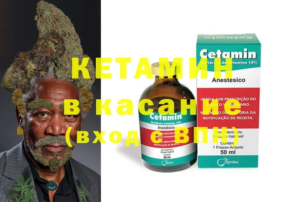 сатива Богданович