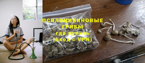 ALPHA PVP Богородицк